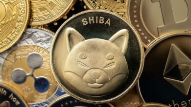332 Milliarden US-Dollar SHIB erreichten die Robinhood-Börse kurz vor dem großen Einbruch; $GFOX erreicht 5 Millionen US-Dollar