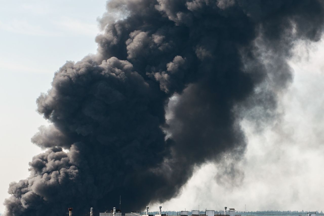 Großbrand in Ludwigshafen: Feuerwehr rettet Katzen, Brandursache unklar!