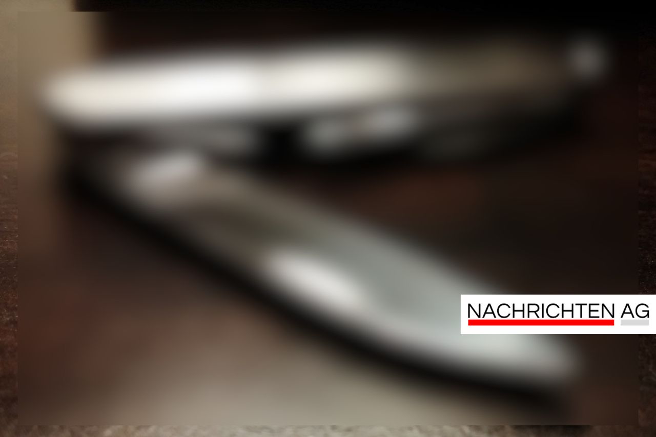 Pilzberatung und Wanderung: Entdecken Sie die Vielfalt in Maintal!