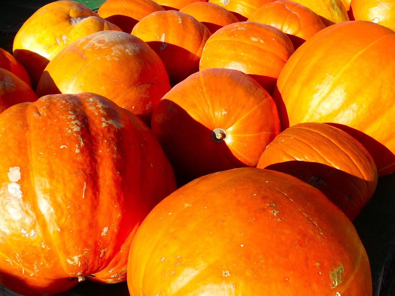 Kulturelle Höhepunkte im Herbst