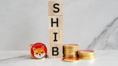 Angesichts des sinkenden Interesses an Shiba Inu und Dogecoin löst der Vorverkauf von NuggetRush bei den Anlegern Begeisterung aus