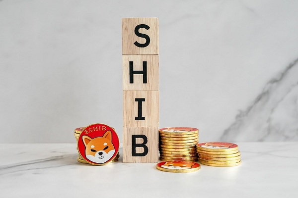 Angesichts des sinkenden Interesses an Shiba Inu und Dogecoin löst der Vorverkauf von NuggetRush bei den Anlegern Begeisterung aus