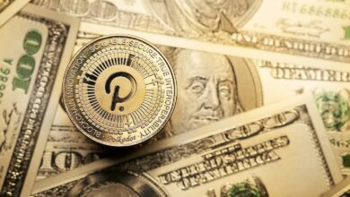 ApeCoin und Polkadot tendieren seitwärts, während sich mit Milei Moneda neue Investitionsmöglichkeiten ergeben
