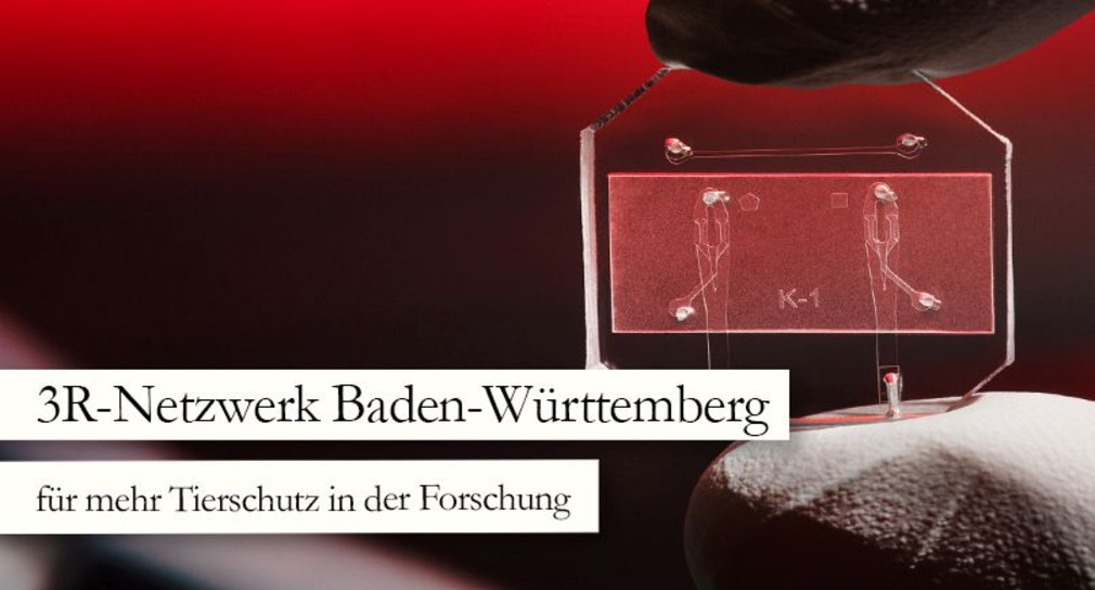 Auftaktveranstaltung des 3R-Netzwerks Baden-Württemberg