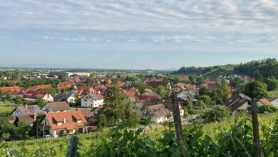 Ausstellung „Wir lassen die Zukunft im Dorf“ auf der Bundesgartenschau eröffnet