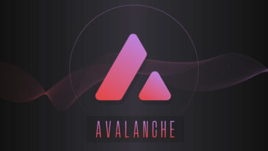 Avalanche kündigt Avalanche9000 an, sein größtes Upgrade seit dem Start des Mainnets