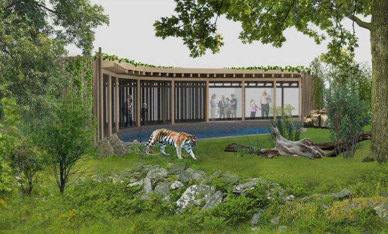 Perspektive mit Tigerbecken und Besuchsstand Amur-Tigeranlage Wilhelma