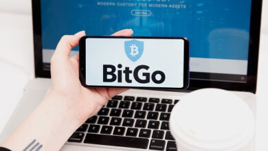 BitGo startet eine digitale Asset-Management-Plattform für Protokolle