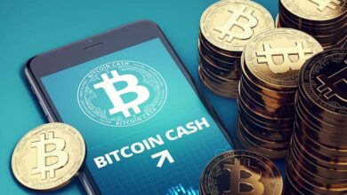 Bitcoin Cash springt um 14 % auf 450 $, BTC peilt 70.000 $ an