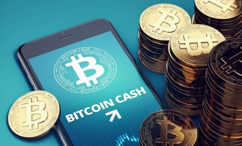 Bitcoin Cash springt um 14 % auf 450 $, BTC peilt 70.000 $ an