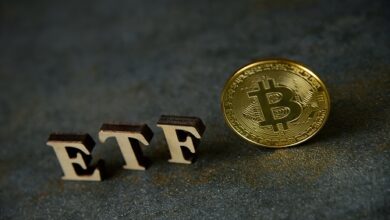Bitcoin-Spot-ETF? Experte sagt, SEC habe „sehr wenig Spielraum“