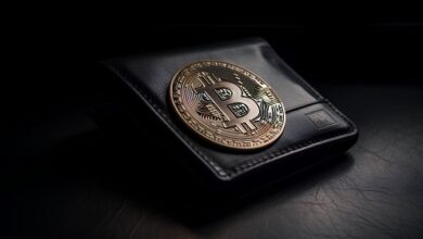 Bitcoin Wallet, das 10 Jahre lang ruhte, wacht plötzlich auf