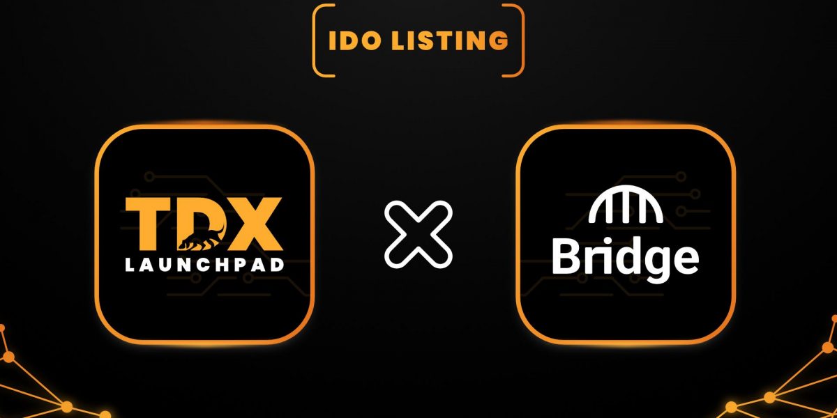 Bridge Network startet sein IDO auf dem TDX Launchpad