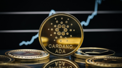 Cardano (ADA) steht inmitten mysteriöser Transaktionen auf der Kippe, während das Ökosystem wächst