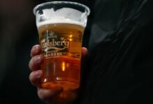 Person hält ein Pint Carlsberg-Bier in der Hand