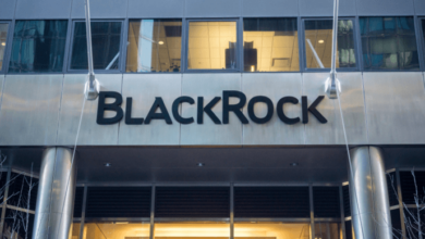 Das IBIT von BlackRock stellt einen Rekordwert von 1,1 Milliarden US-Dollar an täglichen Zuflüssen auf