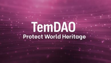 Das TemDAO-Welterbeprojekt hilft dem Kultursektor durch Spenden aus demokratischer Sicht