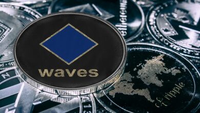 Das Vertrauensvotum von DWF Labs für das WavesDAO-Projekt lässt den WAVES-Preis um 91 % steigen