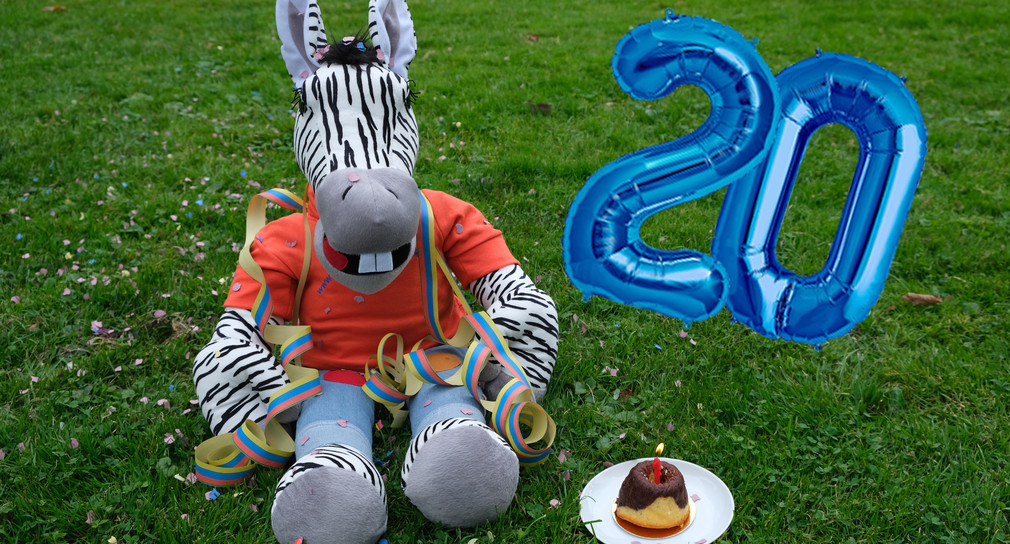 Das kleine Zebra feiert sein 20-jähriges Bestehen