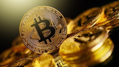Der Bitcoin-Indikator deutet laut Analysten auf eine volatile Entwicklung von 40.000 bis 22.000 US-Dollar hin