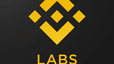 Der Preis des USUAL-Tokens steigt nach der Investition von Binance Labs