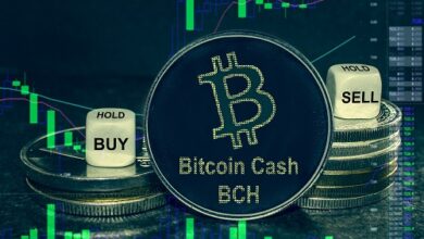 Der Preis von Bitcoin Cash erreicht ein 14-Monats-Hoch