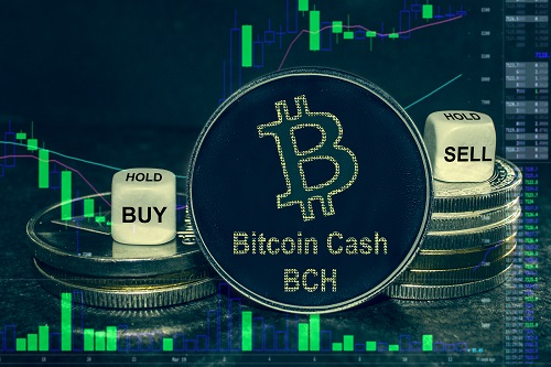 Der Preis von Bitcoin Cash erreicht ein 14-Monats-Hoch