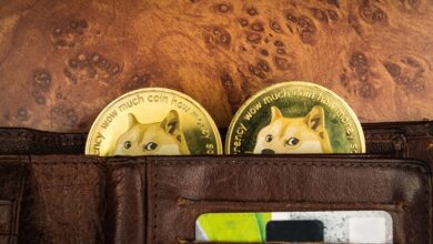 Der Vorverkauf von Shiba Memu erreicht 2,66 Millionen US-Dollar und fordert die Dominanz von Dogecoin und Shiba Inu heraus