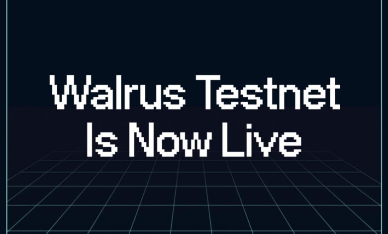 Dezentrales Speicherprotokoll Walrus startet öffentliches Testnetz