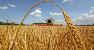 Green Deal sichert landwirtschaftliche Versorgungssicherheit