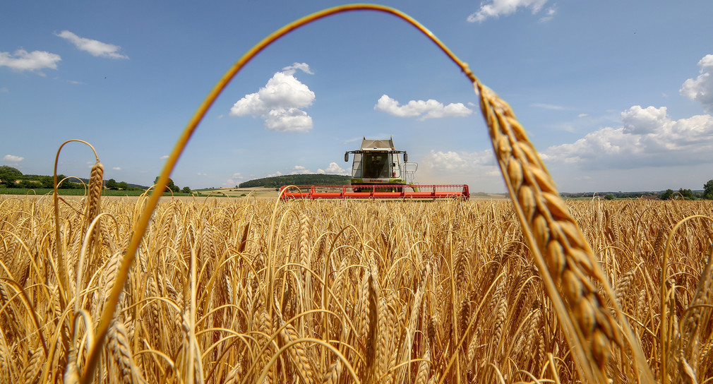 Die Landwirtschaftsministerkonferenz einigt sich auf die gemeinsame Agrarpolitik ab 2023 