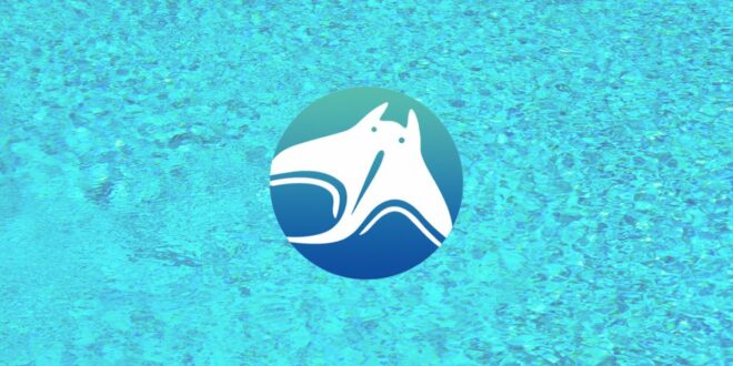 Die Manta Network-Community erhält mit der Einführung von Dolphin Testnet Zugang zu neuen Funktionen