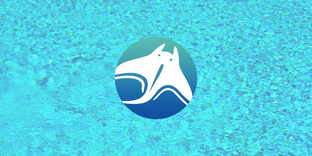 Die Manta Network-Community erhält mit der Einführung von Dolphin Testnet Zugang zu neuen Funktionen