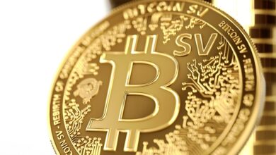 Die Preisprognose für Bitcoin SV steigt innerhalb von 24 Stunden um 71 %