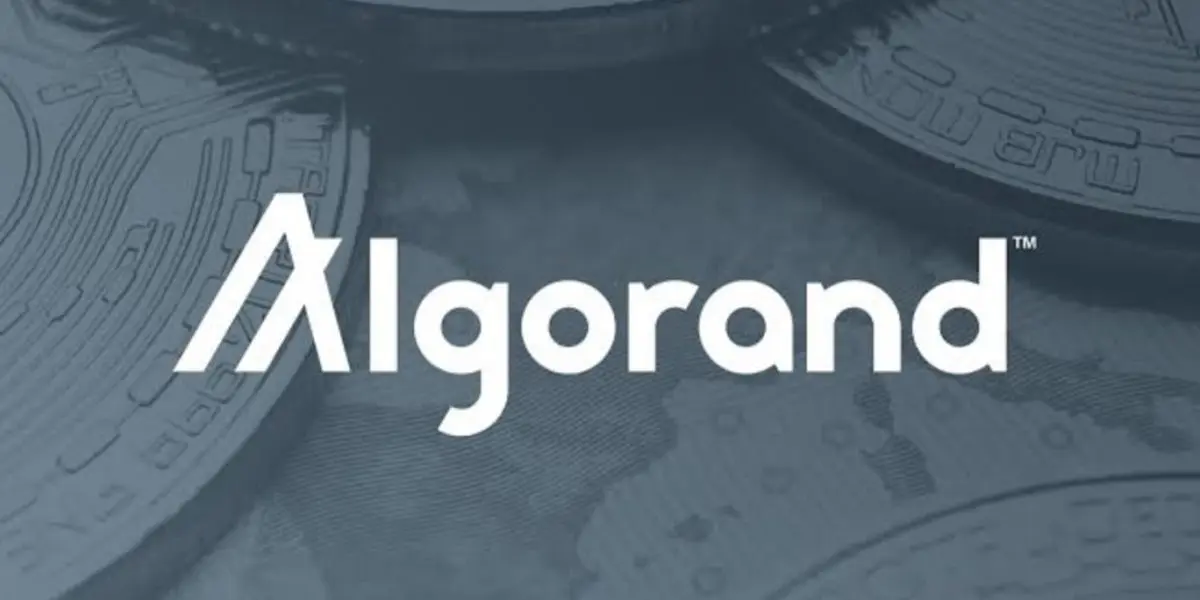 Die Regierung von El Salvador wählt Algorand für ihre Blockchain-Infrastruktur