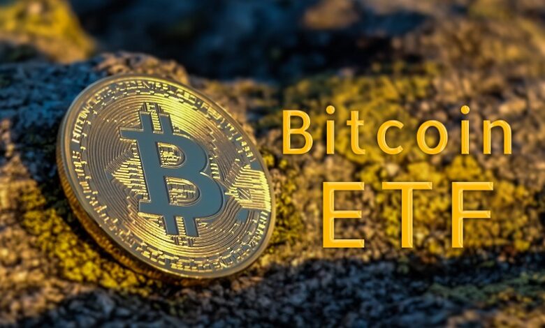 Die US-Börsenaufsichtsbehörde Securities and Exchange Commission nimmt den Antrag für den Valkyrie Spot Bitcoin ETF offiziell an
