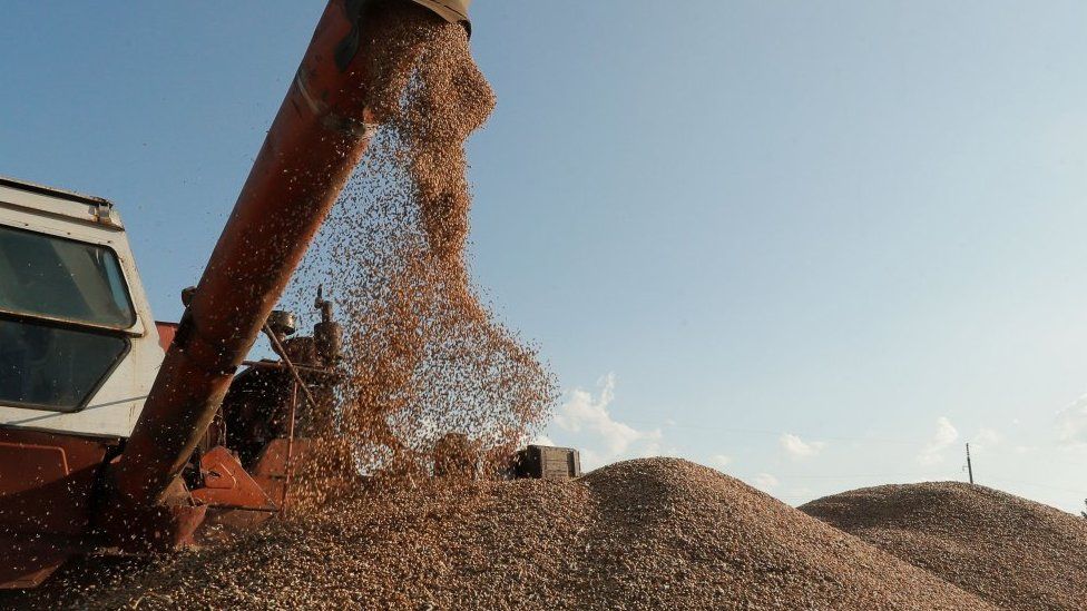 Getreide wird während einer Ernte in der Nähe von Kiew, Ukraine, gesammelt. Foto: Juli 2023
