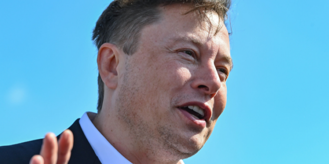 Doge-Mitbegründer Palmer streitet sich mit Elon Musk über Programmierkenntnisse