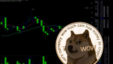 Dogecoin-Rallyes