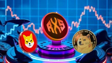 Dogecoin und Shiba Inu scheinen schlechte Investitionen zu sein – Analysten glauben, dass diese beiden Token eine bessere Wahl sein könnten