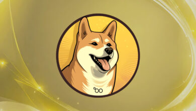Dogecoin20 Meme Coin startet ICO und sammelt innerhalb weniger Stunden 200.000 US-Dollar ein