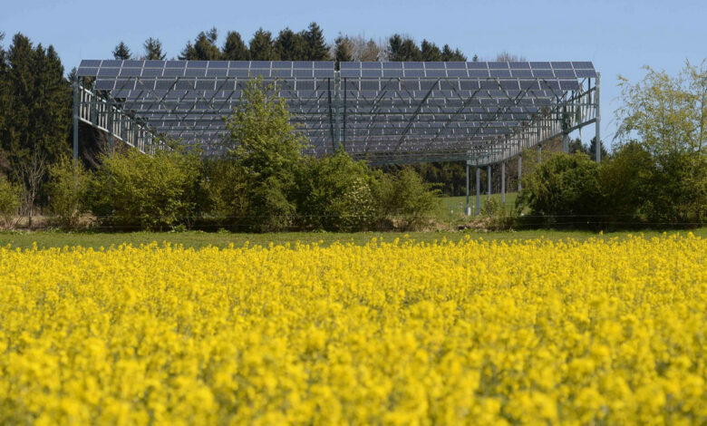 Dritte Pilotanlage der Modellregion Agri-PV eingeweiht