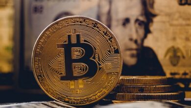Eine Einführung in Bitcoin und Kryptowährung