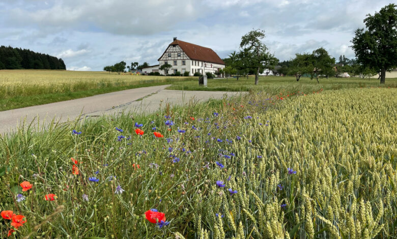 Flurneuordnungen im Landkreis Sigmaringen