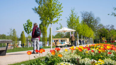 Gartenschau in Balingen beginnt am 5. Mai 2023