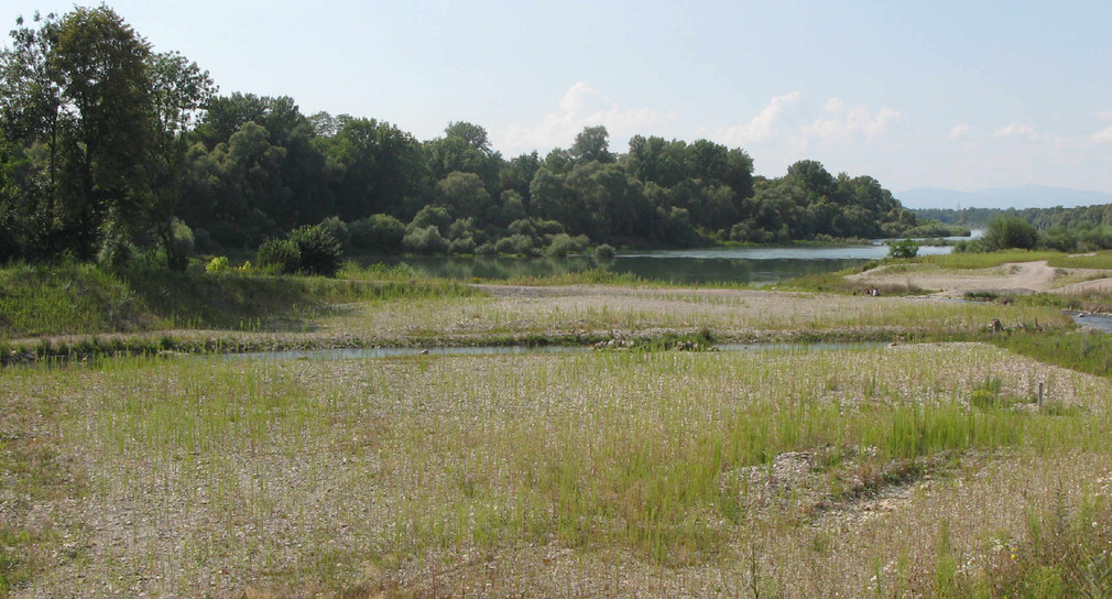 Gut 2,4 Millionen Euro für Hochwasserrückhaltebecken in Biberach an der Riß