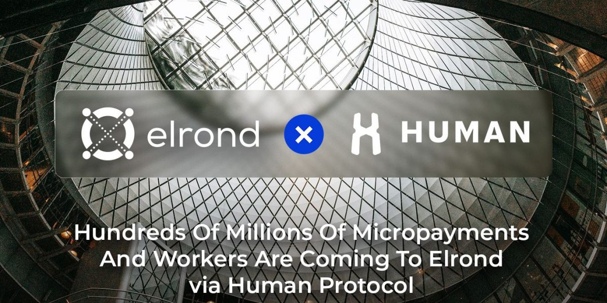 HUMAN Protocol und Elrond Network Team bis zu Excel Machine Learning