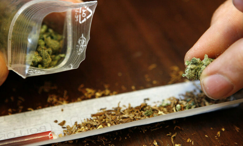 Unions-Innenminister prüfen Klage zu Cannabislegalisierung