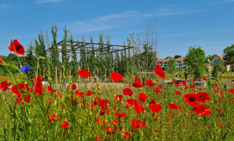 Landesgartenschau Wangen eröffnet