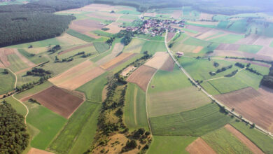 Land fördert Bau- und Pflanzmaßnahmen in Ehingen-Frankenhofen